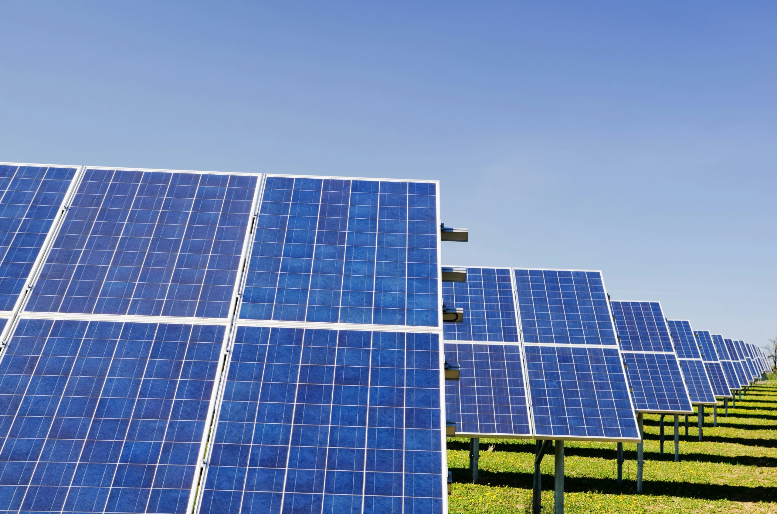 Placas solares campo claras